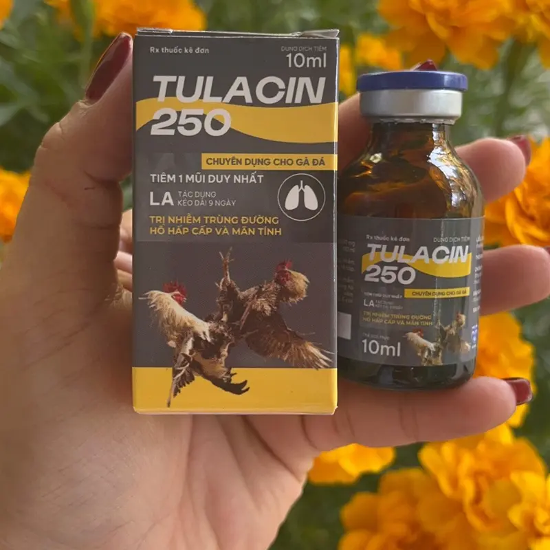 TULACIN chai 10ml dành cho gà bị hô hấp - sổ mũi - tị huyết trùng ,…. Chỉ 1 liều là được 3
