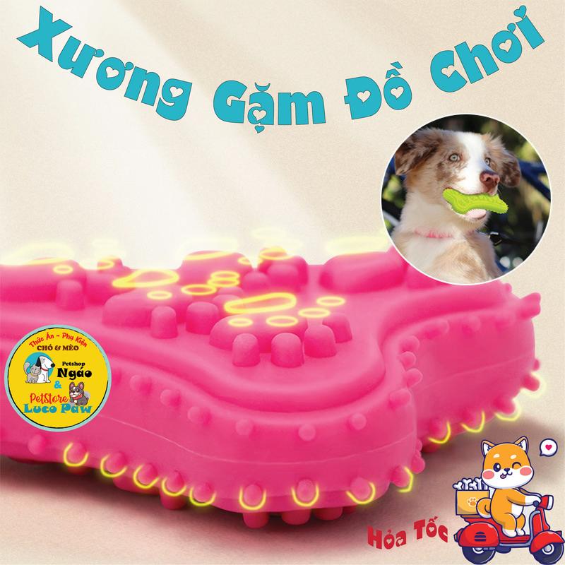 Đồ Chơi Xương Cao Su Cho Chó Tập Nhai Gặm ___ XƯƠNG ĐỒ CHƠI 3