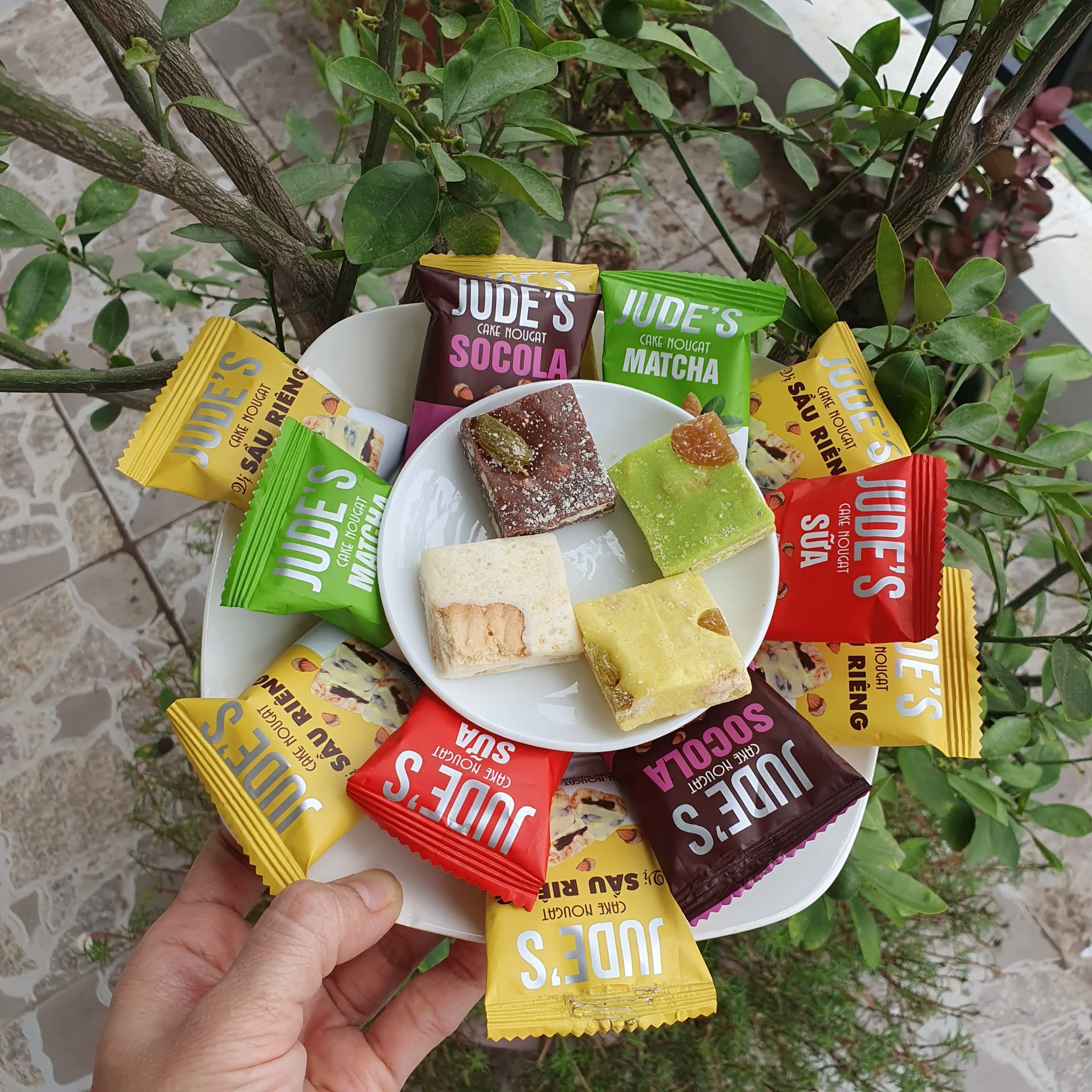Bánh Nougat Jude's Hộp 240G - Vị Matcha, Socola, Sữa, Sầu Riêng