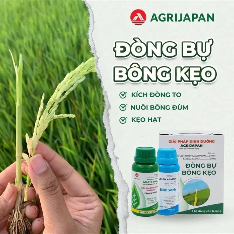 1 CẶP ĐÒNG BỰ BONG KẸO ARGIJAPAN GIÚP KÍCH ĐÒNG CỨNG CÂY XANH LÁ DẦY LÁ 2chai 250ml 4
