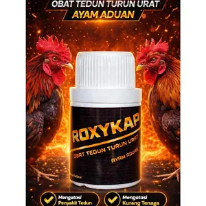 ROXYKAP  OBAT AYAM PINCANG LUMPUH TEDUN NYERI SENDI KHUSUS AYAM ADUAN 10 BUTIR  TERLARIS Ayam Aduan