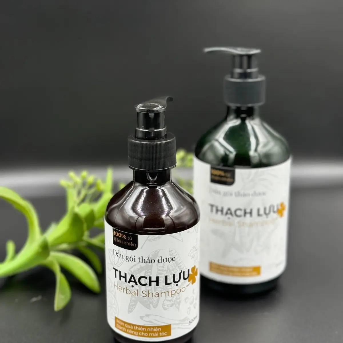 {01 chai} Dầu gội thảo dược THẠCH LỰU