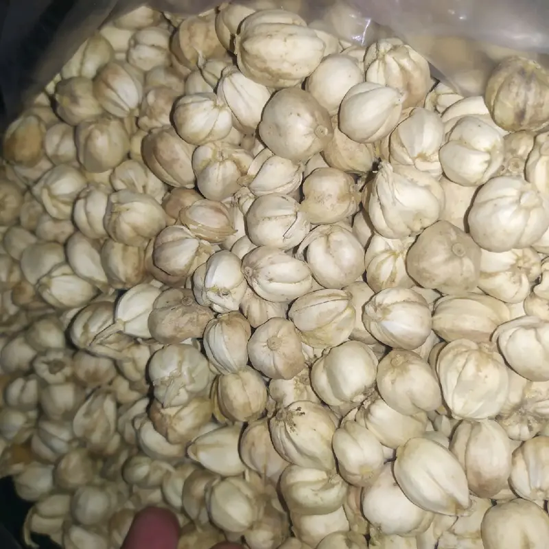 Kapulaga jawa putih premium 1kg Alami 1