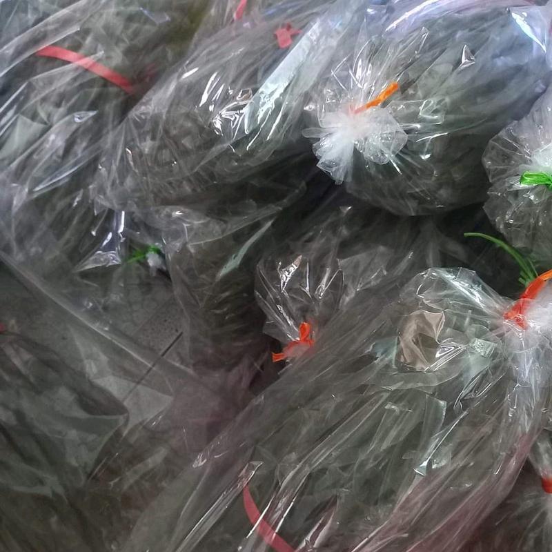 miến dong thái tay điện biên Cay 4