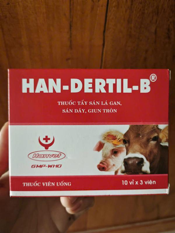 HAN-DERTIL -B THUỐC TẨY GIUN SÁN TRÊN CHÓ MÈO, LỢN, GÀ 0