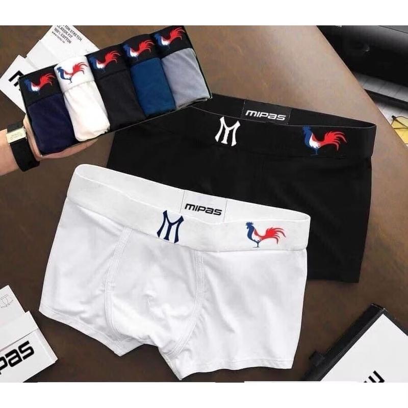 Combo 5 Quần sịp nam đùi boxer xịn sò, chất thun mát cao cấp hàng Việt Nam, có logo con Gà trống xịp đùi nam 2