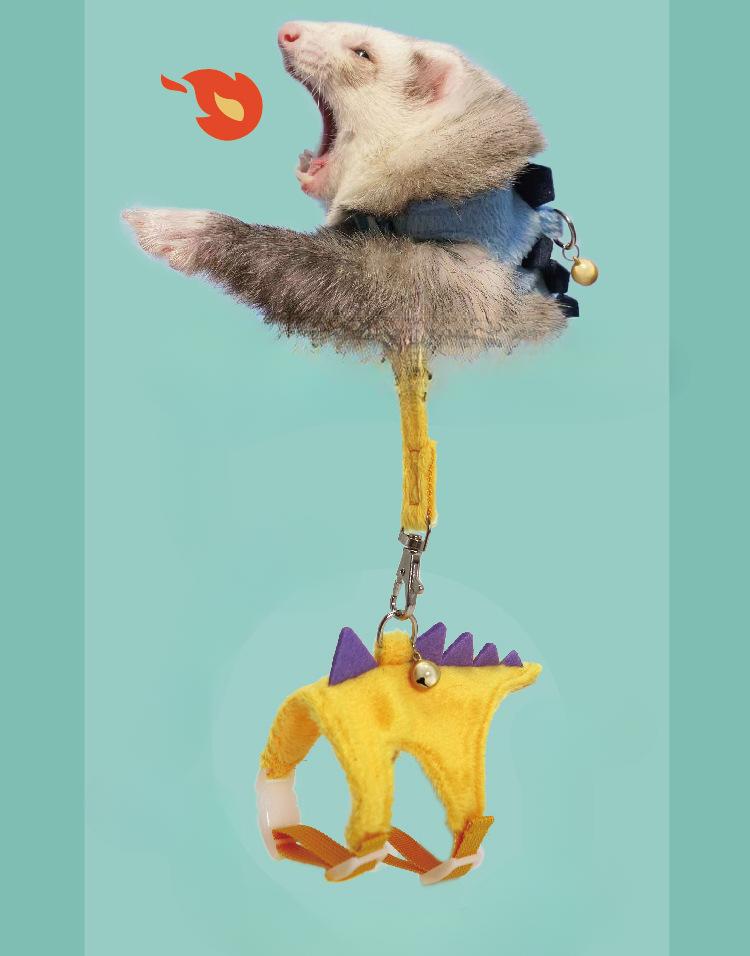 Product Introduction of Pet mink, ferret, dinosaur shaped traction rope, adjustable walking mink rope 4