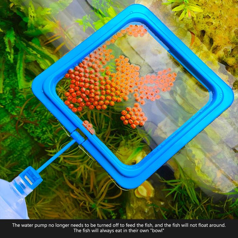 Yica 2pcs Fish Tanks Feeding Rings Small Fishes Feeders Rings Circle Buoyance Fish Feeders for Easy Installation And Cleaning 7
