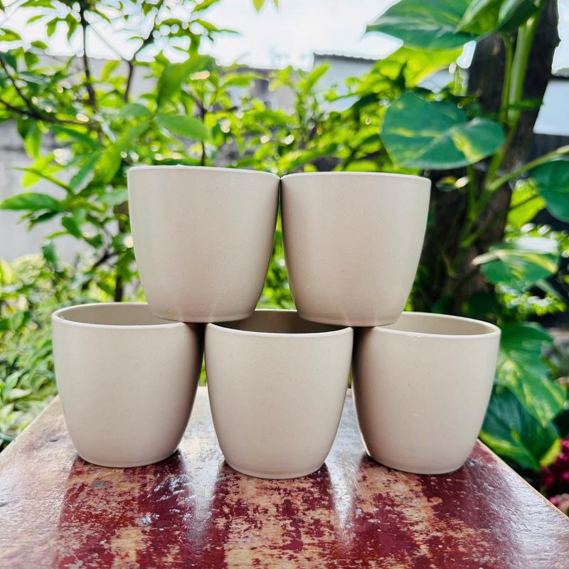Product Introduction of Combo 5 Cái Ly uống nước, trà đá nhựa 230ml dùng cho quán ăn, buffet, nhà hàng,Cốc tròn trơn nhựa Việt Nhật 6291 3