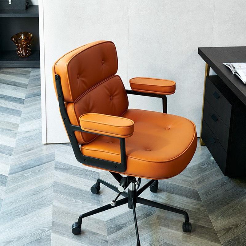Alefye Ergonomic Office Chair Simple Home Boss Study Computer Chair Leisure Designer Robin Chair 1