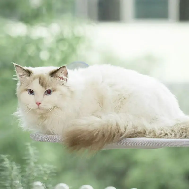Cat Hammock Cat Bed Window Sill Hanging Sunbathing Suction Cup Balcony Pet Cat Bed Supplies