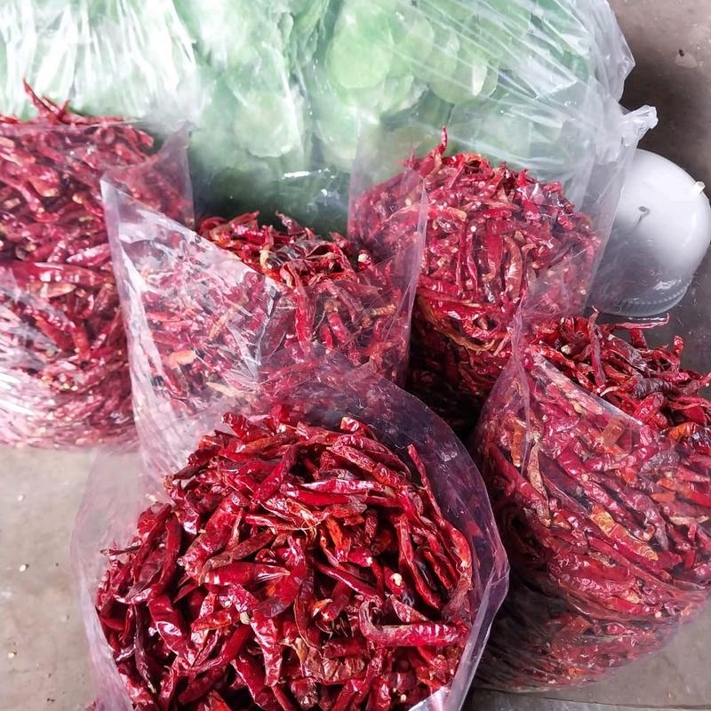 (3KG) CABE RAWIT TEJA KERING MURAH Alami Pedas Spices  Cabai 5