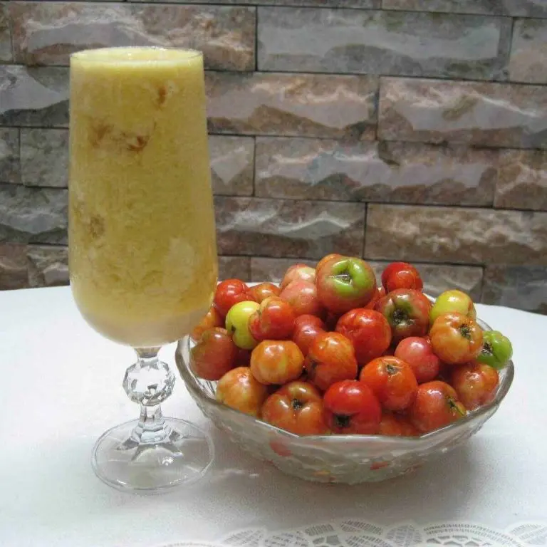 NƯỚC ÉP SƠ RI SIZE NHỎ NGUYÊN CHẤT