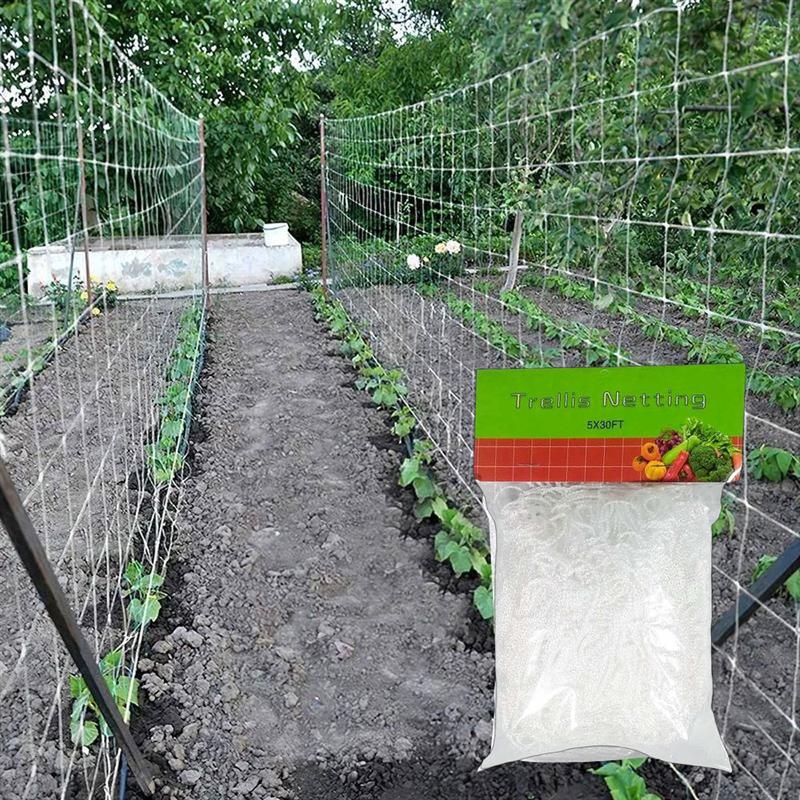 Jaring Tanaman Rambat Plants Climbing Net Polyester 1.67x10M 0