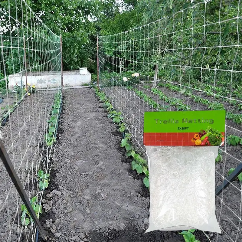 Jaring Tanaman Rambat Plants Climbing Net Polyester 1.67x10M 0