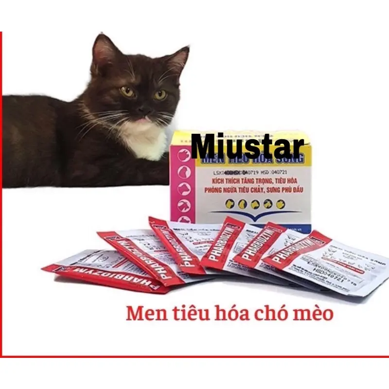 Men Tiêu Hóa Cho Chó Mèo 5gram