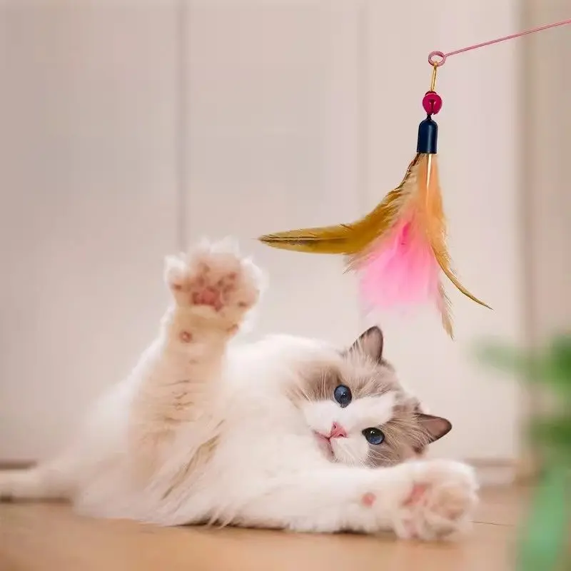 Đồ chơi cho mèo tự phục vụ, Thiết kế lông vũ chuông, Chống vết cắn, Dây thép, Giá đỡ bàn chải dài, Thích hợp cho mèo con, Đồ dùng cho mèo