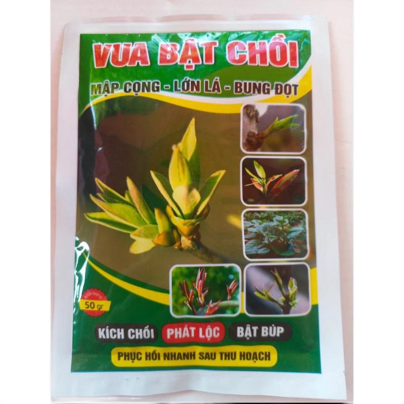 ( combo 5 gói ) Vua Bật Chồi, Bật Mầm, Mập Cọng, Lớn Lá, Tốt Cho Mai Vàng, Phong Lan, Hoa Hồng và các loại cây cảnh khác (Gói 50g)