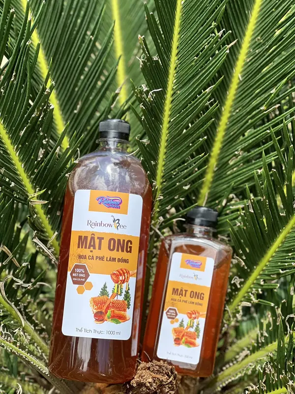 [ MUA 2 TẶNG 1 ] COMBO 2 Chai Mật Ong Hoa Cà Phê Lâm Đồng Rainbow Bee 500ml - Tặng Chai 330ml 6
