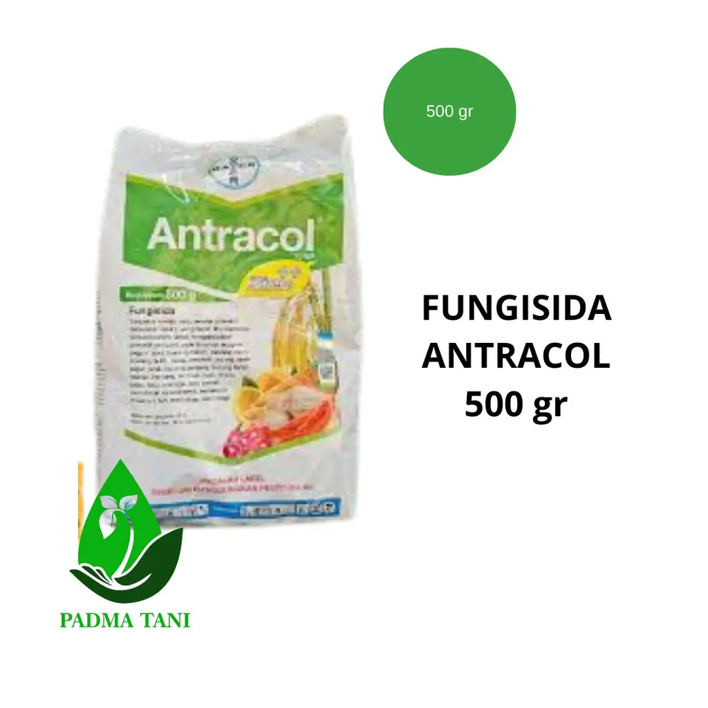 FUNGISIDA ZINC ANTRACOL 70 WP 500 GRAM