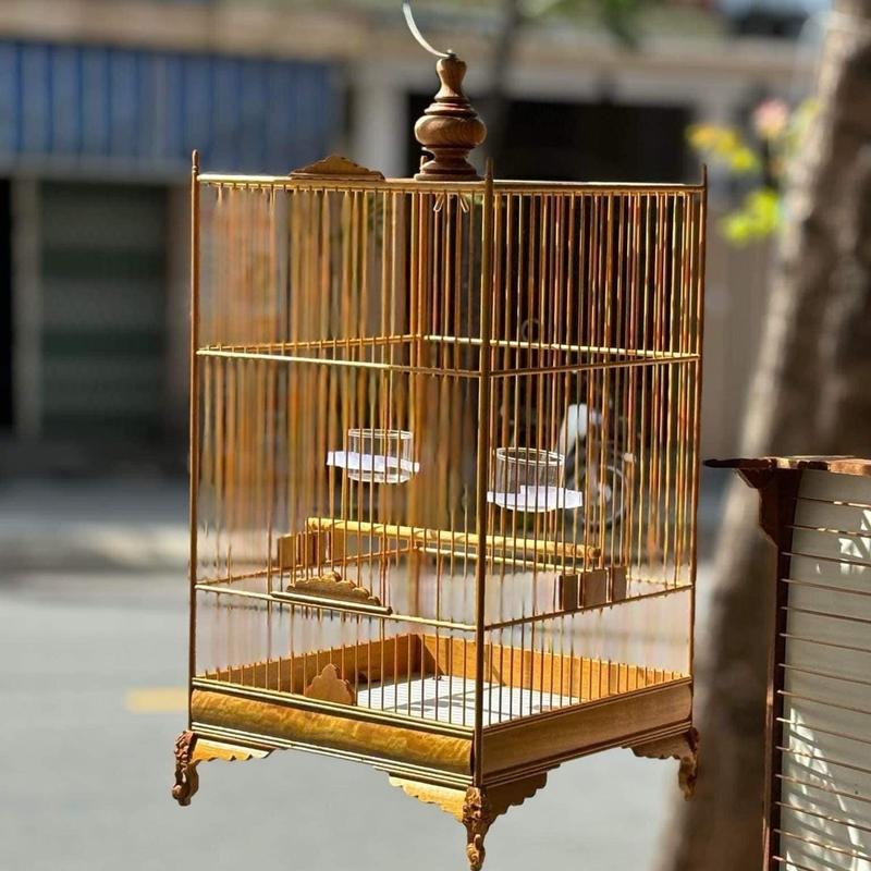  Lồng chim huế   kiềng chạm vuông  - lồng hút mật  ốc mít  vành khuyên chân chạm bo trụ tròn gỗ kiềng . Combo đủ pk áo  cóng cầu hutmat  7mau 