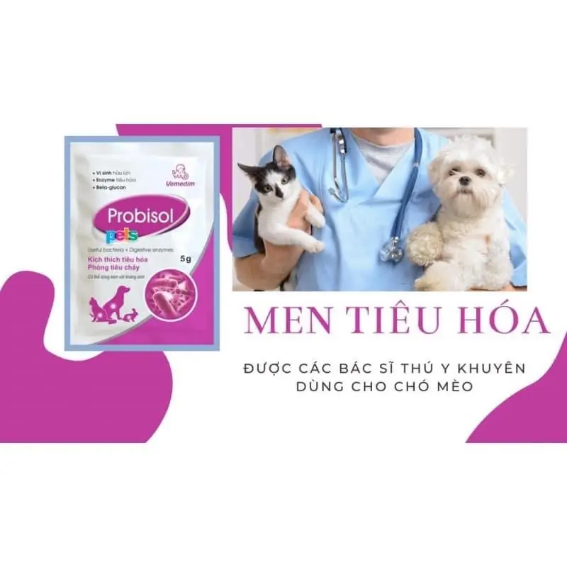 Men tiêu hoá cho Pet