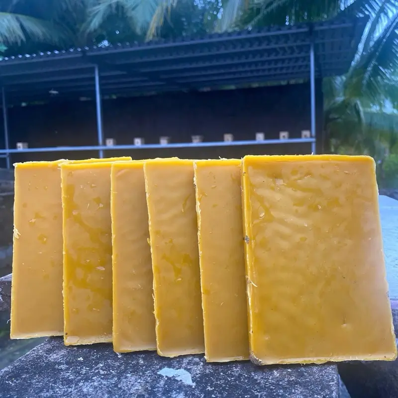 Sáp dụ ong rừng ,ruồi,nội địa 2