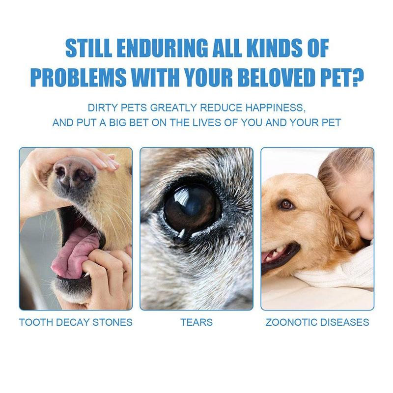 Product Introduction of Oral Care Finger Wipes for Dogs and Cats EasytoUse Pet Teeth Cleaning Solution for Fresh Breath L8B9 24
