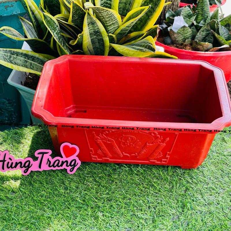 [Combo 5 cái ] Chậu Chữ Nhật BonSai nhỏ ( miệng 34cm x rộng 25cm)