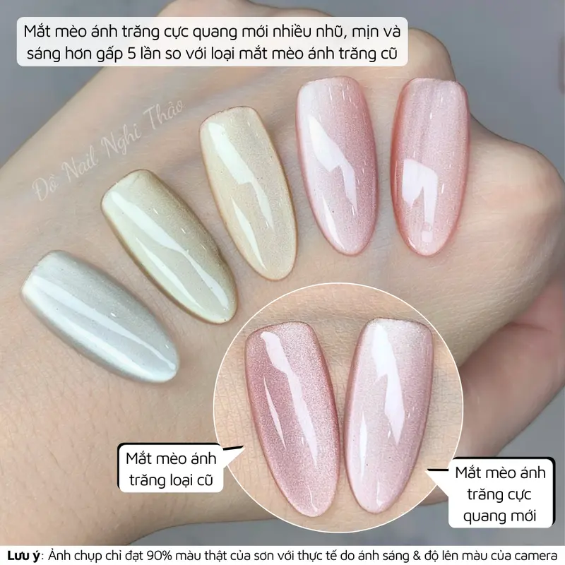 Sơn gel mắt mèo ánh trăng cực quang RAMYLA 1