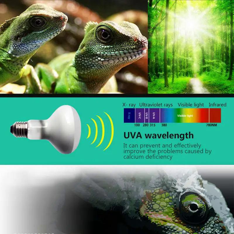 Đèn nhiệt gốm, E27e26, 100W, bóng đèn chất lượng ấm áp, thíc - TikTok ...