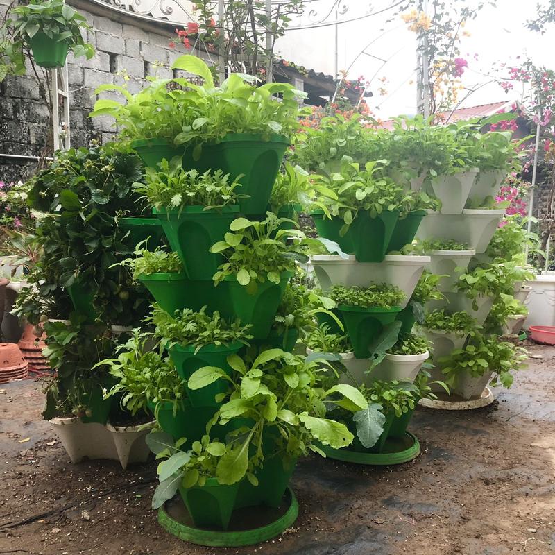 Product Introduction of (HN) Chậu Tháp 8 Tầng Trồng Rau Hữu Cơ/ Tháp Trồng Hoa / Dâu Tây - Nhựa Cao Cấp, Tiện Lợi, Tiết Kiệm Không Gian (nhiều màu) 9