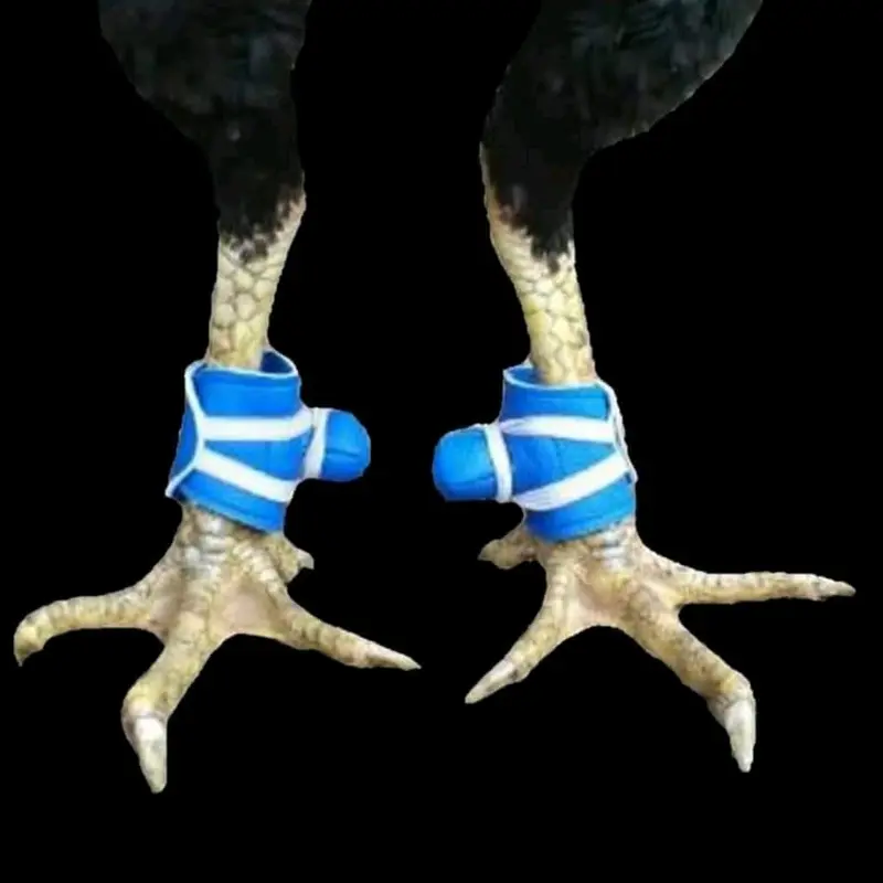 Sarung Jalu 0