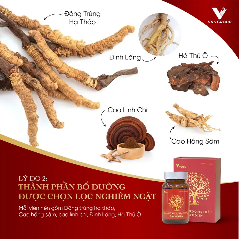 Thực phẩm hỗ trợ bảo vệ sức khỏe Đông trùng hạ thảo bách niên (Hộp 01 lọ 60v) 4