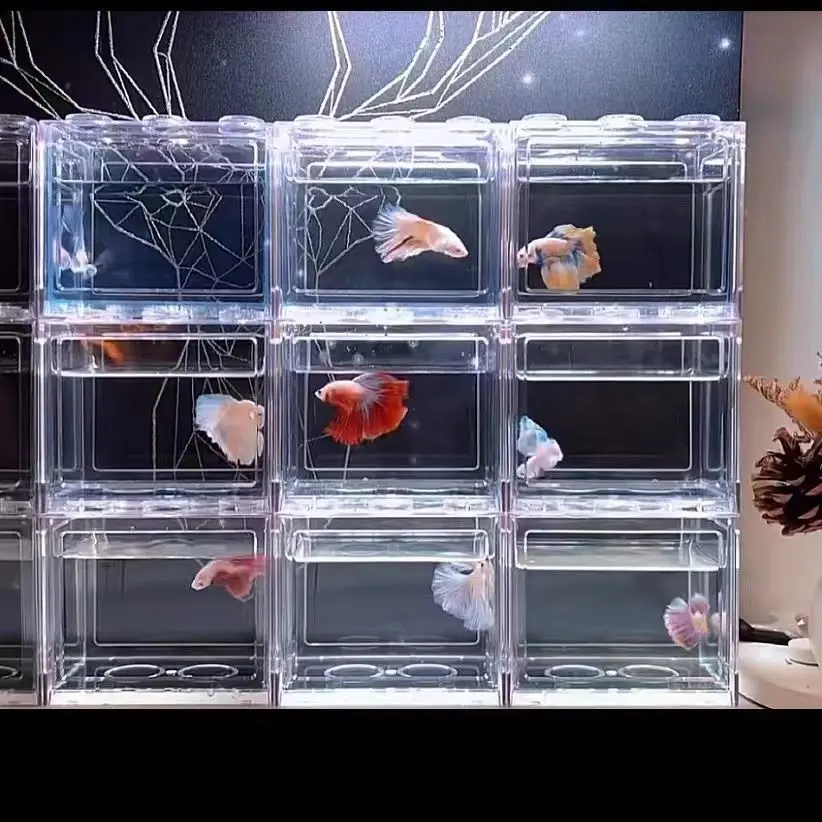 Hộp Bể Betta, Thái Lan, Cốc Khối Lắp Ráp Xi Lanh, Bát Cá Mini, Bể Betta Để Bàn, Phong Cảnh Nhỏ Cách Ly, Nhỏ Sáng Tạo, 2024