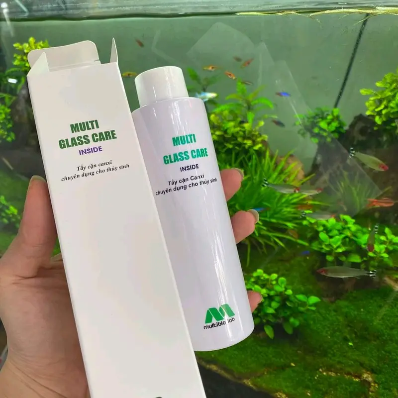 TẨY VẾT Ố HỒ CÁ , TẨY CẶN CAN XI BỂ CÁ , DUNG DỊCH TẨY CẶN , VỆ SINH HỒ CÁ 4