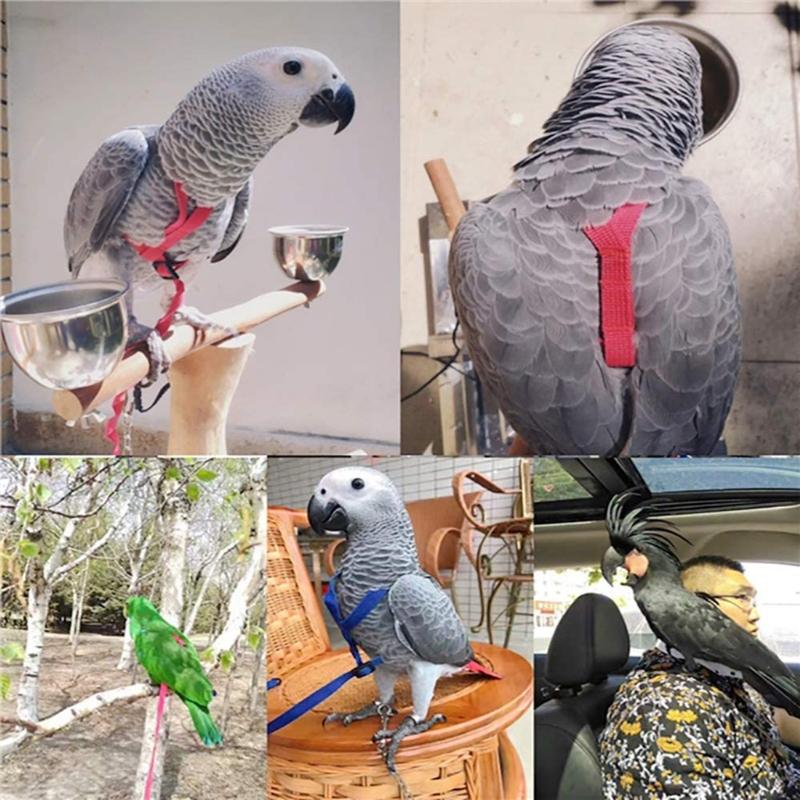 Product Introduction of Outdoor Parrot Bird Leash Adjustable Harness Training Rope Anti Bite Flying Band Soft comfortable Parrot Leash bird accessories 8