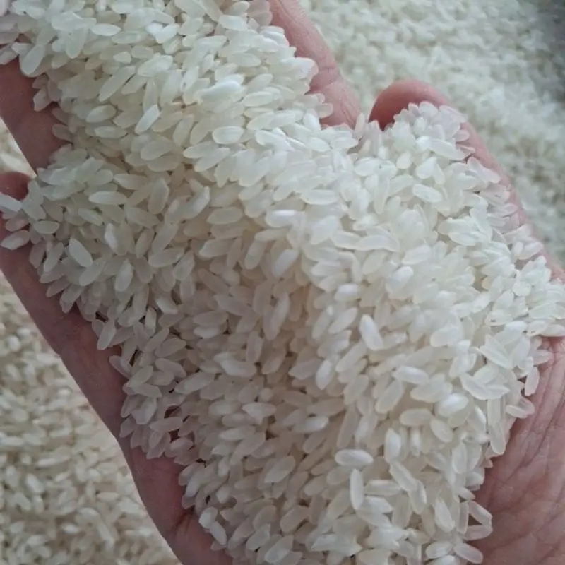 Gạo Nở Khô Xốp Hàm Châu - Gạo 504 - 10kg 3