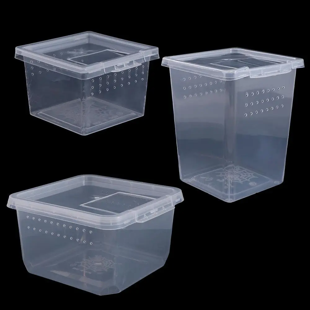 Practical 1PC Transparent Reptile Accessories for Scorpion Spider Ants Household Lizard Living Box Hatching Tank Insect Feeding Box Reptile Habitat
