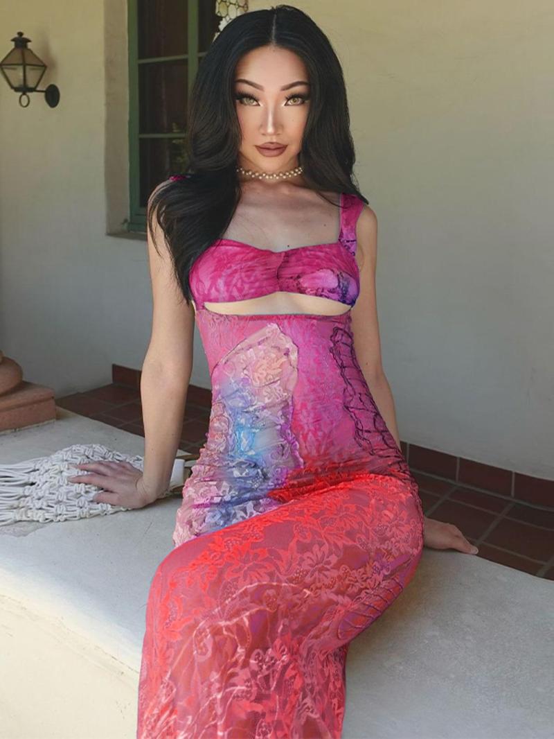 Product Introduction of Women's All Over Print Contrast Lace Cut Out Sheer Bodycon Dress, Fashion Backless Sleeveless Long Dress for Party Club Dating Wear, Women Dress for Summer, Summer Dresses, Womenswear 5
