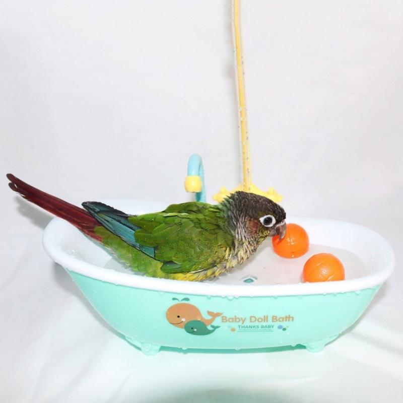 Product Introduction of Cute Cartoon Blue Plastic for Parakeet Lovebird Bird Accessories Parrot Automatic Bathtub Bird Feeder Bowl Bird Shower Bathing Tub 9