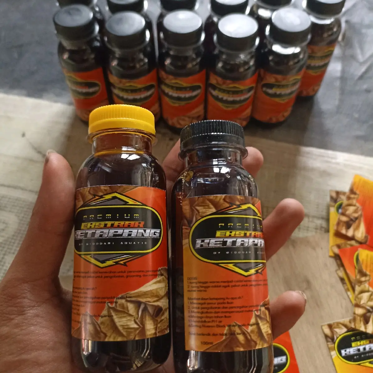 EXSTRAK KETAPANG PEKAT