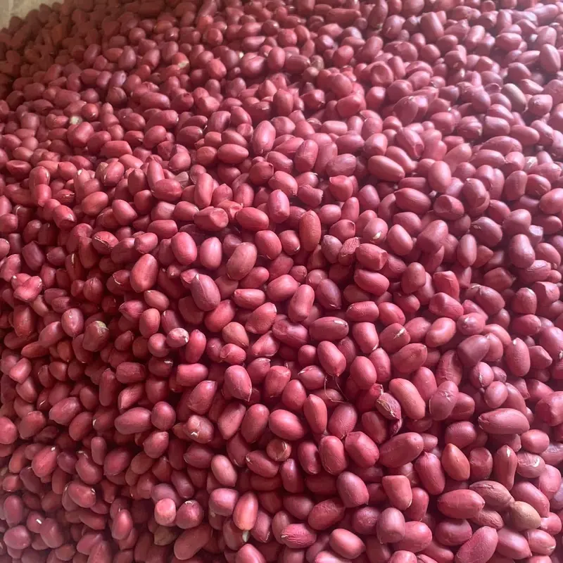 lạc đỏ cả vỏ Compo 2kg khô vụ mới Thức Ăn 3