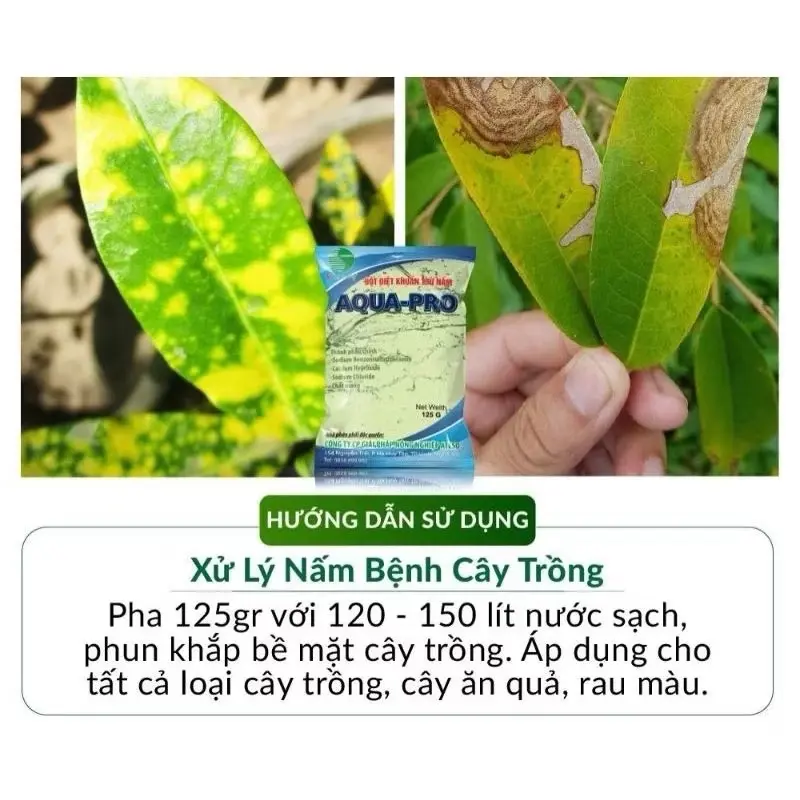 ￼(Chính hãng) 10 gói tặng 2 - Aqua Pro chế phẩm sinh học phòng trừ nấm bệnh trên cây (125gr), rửa vườn, nấm bệnh… 3