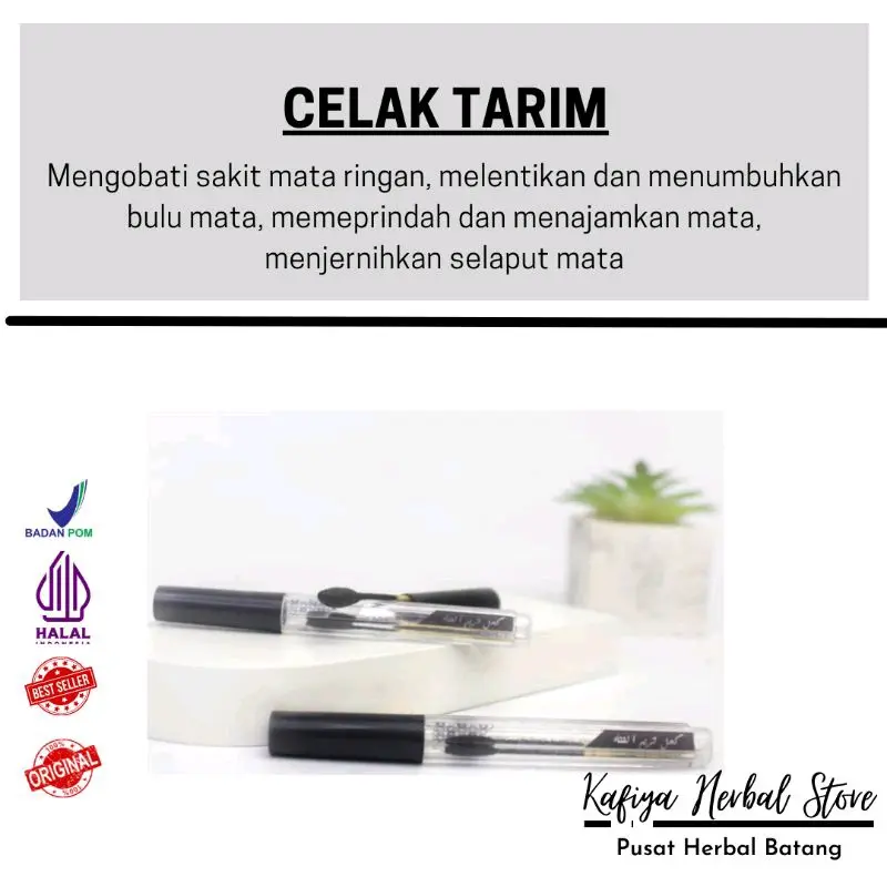CELAK TARIM ORIGINAL 100% CELAK ITSMID CELAK DARI YAMAN