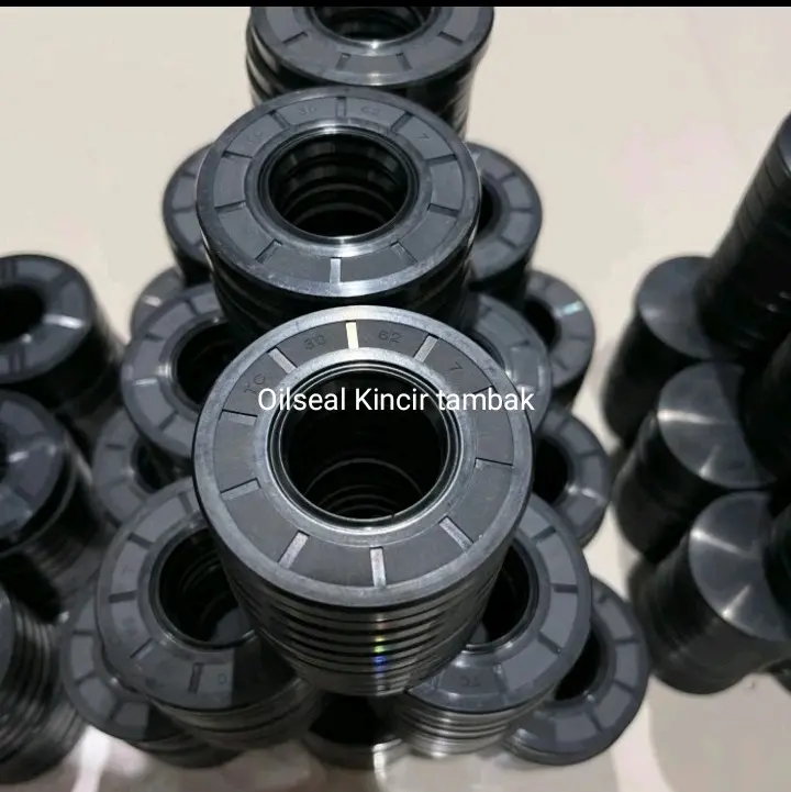 Oilseal kincir tambak 30x62x7 0