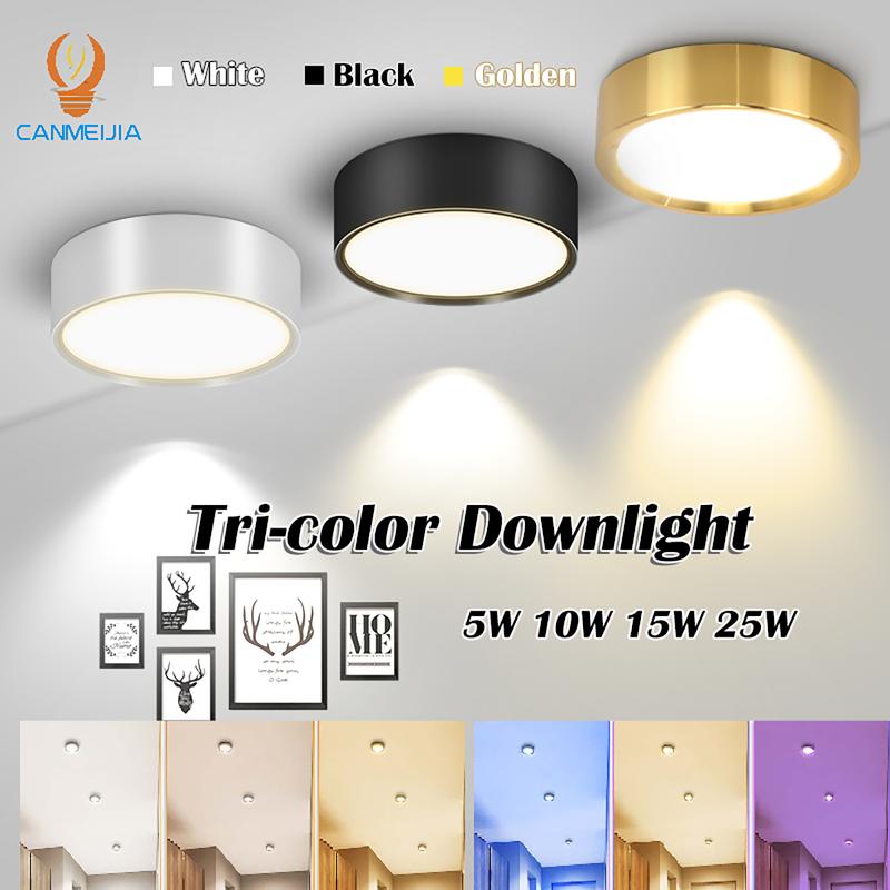 Tri-Color pin light ceiling LED downlight ceiling lamp moder - TikTok ...