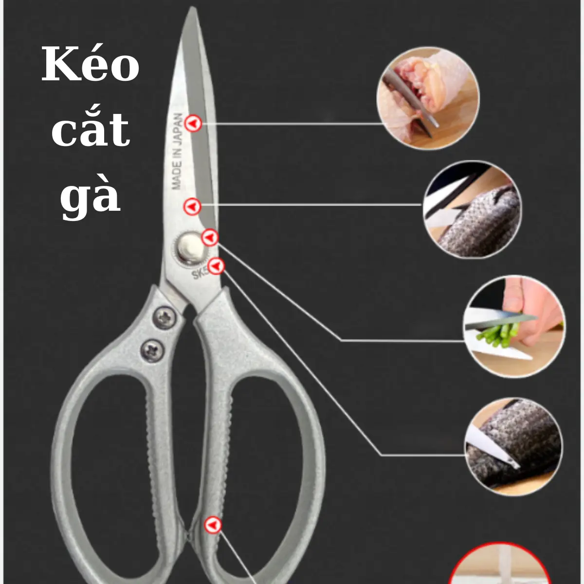 Kéo cắt gà, thịt, cá SK5 Nhật bền đẹp, tiện lợi chắc chắn, chất liệu thép chọn lọc