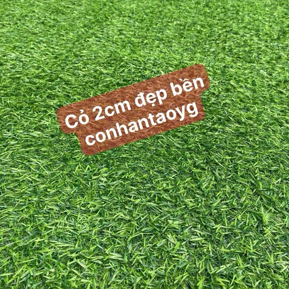 2m2=2mx1m cỏ nhân tạo 2cm đẹp, bền, sử dụng trải sàn, sân, tiệc cưới, sân khấu, dán tường, quán cafe,... sạch sẽ, xanh mát.