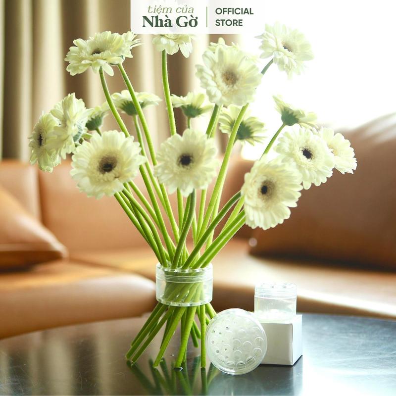 Giá Đỡ Cắm Hoa Ikebana Dụng Cụ Định Hình Sắp Xếp Hoa Nghệ Thuật Nhà Gờ Phù Hợp Nhiều Lọ Hoa BÌnh Hoa DC24 Decor bình hoa binh cam bình hoa bình hoaxinh bình hoa dụng cụcắmhoa